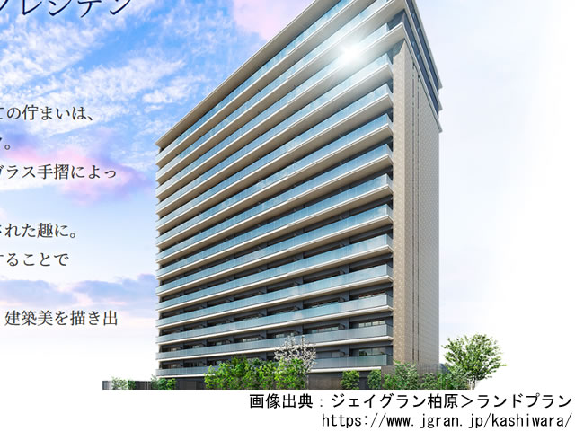 ジェイグラン柏原