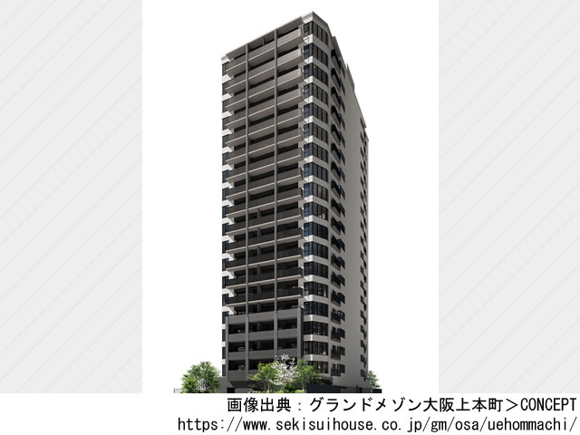グランドメゾン大阪上本町