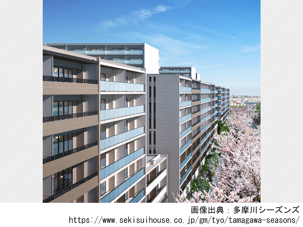 多摩川シーズンズ