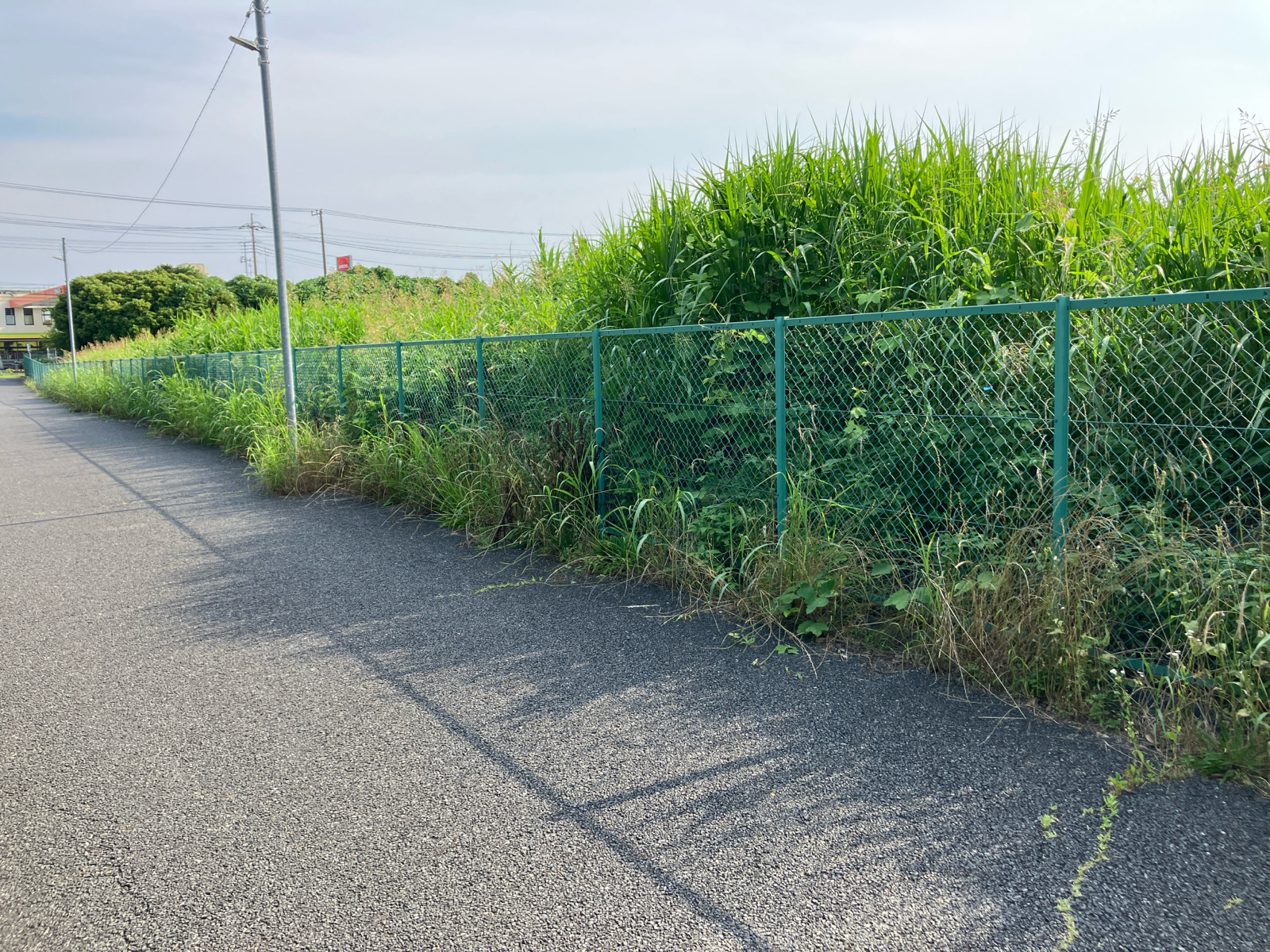 （仮称）さいたま市見沼区東新井計画新築工事